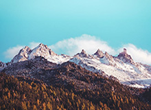 穆雷27+6小波特38+10 掘金主场险胜篮网