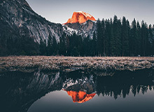 穆雷27+6小波特38+10 掘金主场险胜篮网